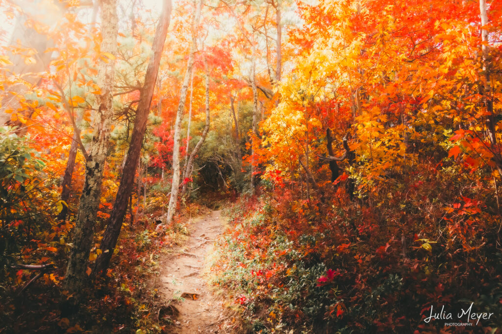 Autumn in the Smokies