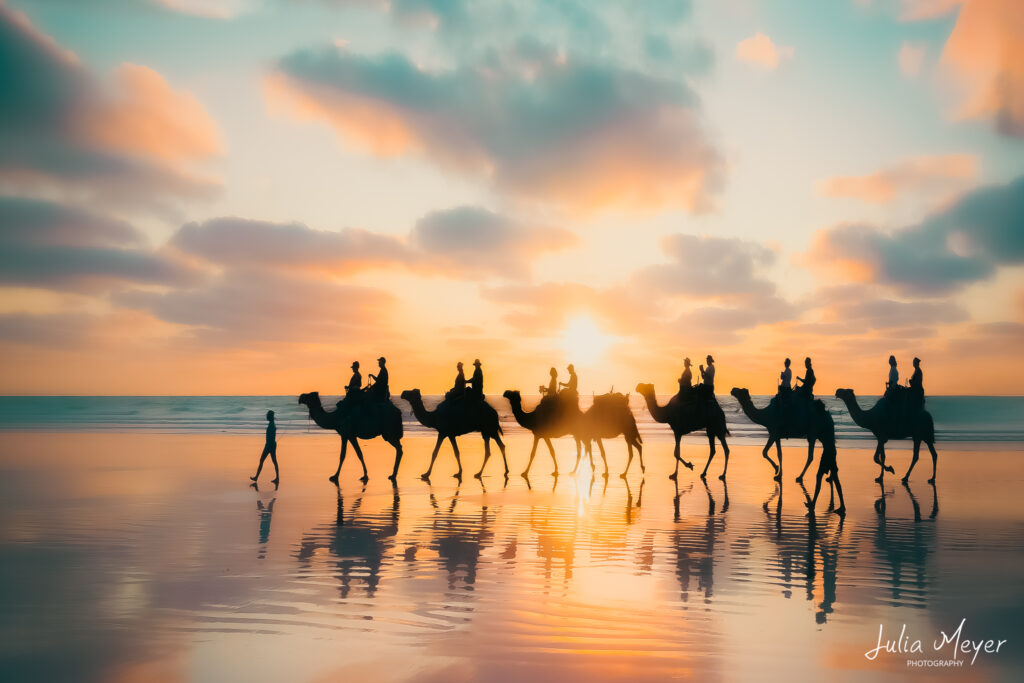 Cable Beach Camels