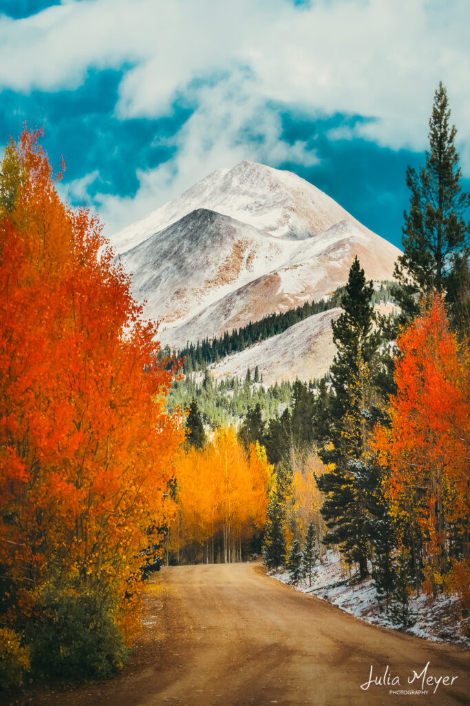 Colorado Fall Colors