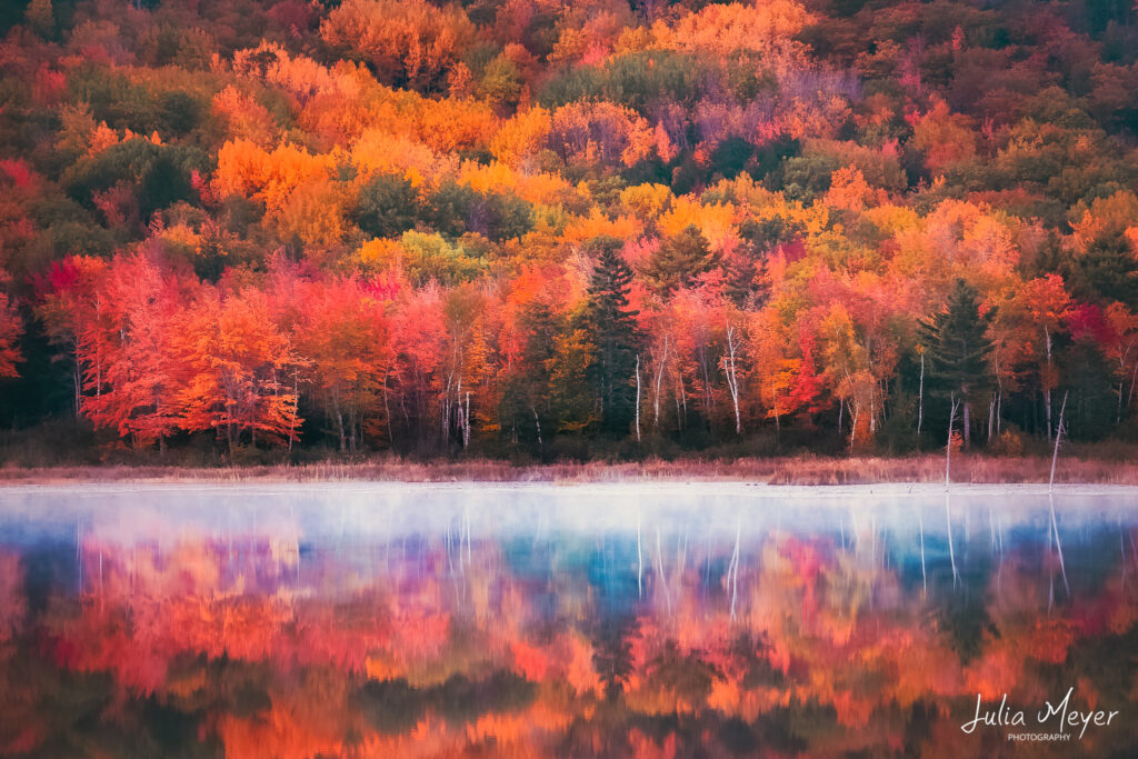 Fall Reflections