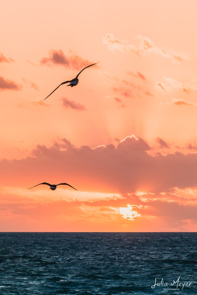 Key West Sunset Celebration