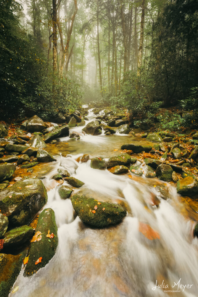 Smoky Mountains Creek